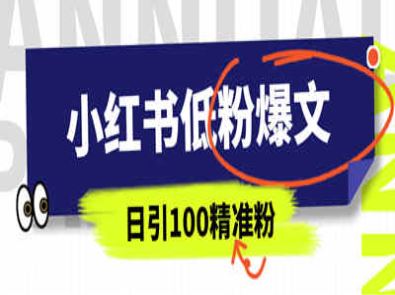 小红书低粉爆文玩法，日引100+精准粉