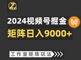 【蓝海项目】2024视频号自然流带货，工作室落地玩法，单个直播间日入9000+